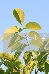 度小满逾期5000没还会怎么样