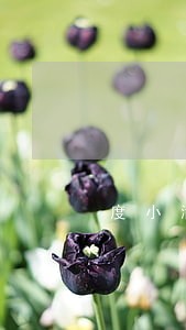 度小满金融欠2万多逾期怎么办 度小满金融欠2万多逾期怎么办