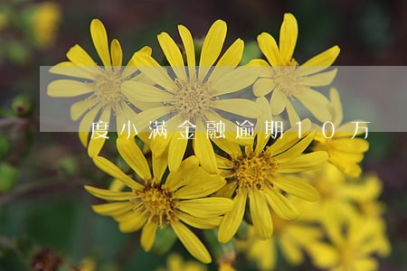 度小满金融逾期10万 度小满金融逾期10万