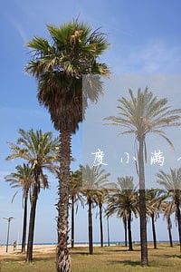 度小满金融逾期1天 度小满金融逾期1天