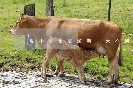 度小满金融逾期1天不到 度小满金融逾期1天不到