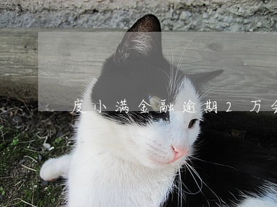 度小满金融逾期2万会坐牢吗 度小满金融逾期2万会坐牢吗