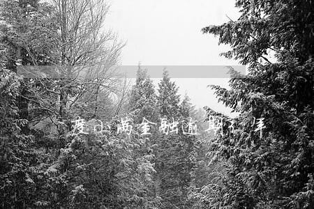度小满金融逾期3年 度小满金融逾期3年