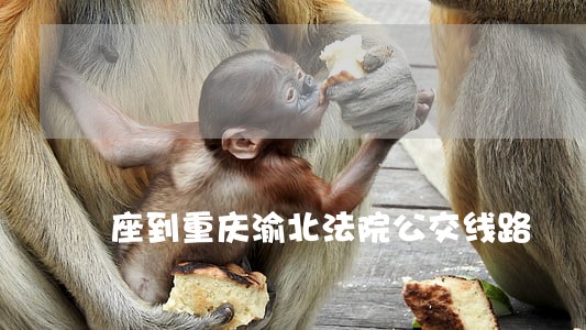 座到重庆渝北法院公交线路