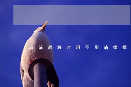 庭前调解时用不用请律师 庭前调解时用不用请律师