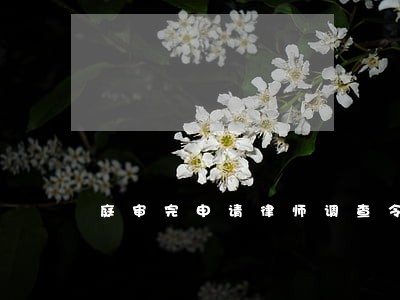 庭审完申请律师调查令 庭审完申请律师调查令