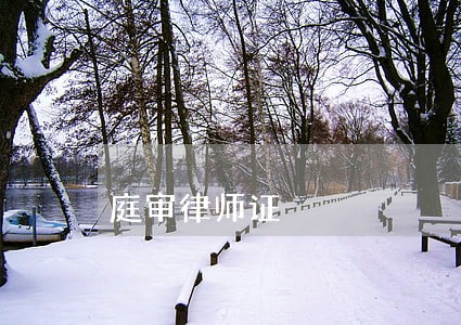庭审律师证 庭审律师证