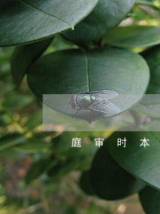 庭审时本人提出增加诉讼请求 庭审时本人提出增加诉讼请求