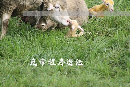庭审程序违法 庭审程序违法