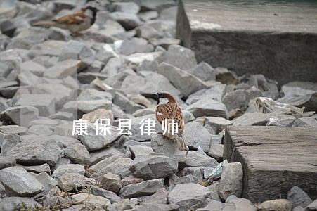 康保县律师 康保县律师