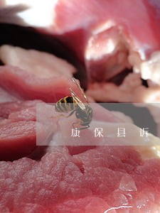 康保县诉讼仲裁在线律师 康保县诉讼仲裁在线律师