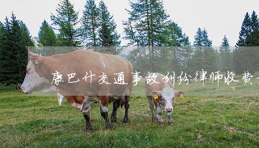 康巴什交通事故纠纷律师收费标准 康巴什交通事故纠纷律师收费标准