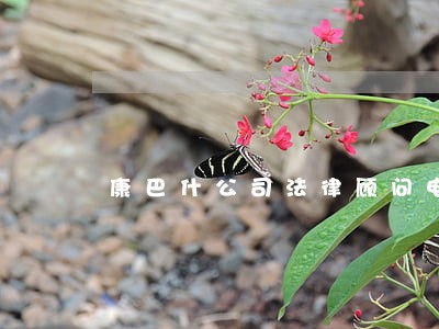 康巴什公司法律顾问电话咨询 康巴什公司法律顾问电话咨询