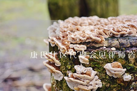 康巴什区代理会见律师咨询电话