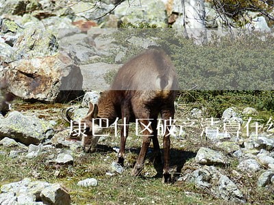 康巴什区破产清算在线律师 康巴什区破产清算在线律师