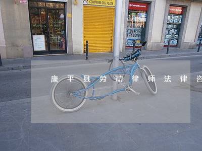 康平县劳动律师法律咨询