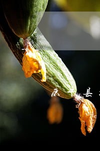 康平县擅长办抚养权律师