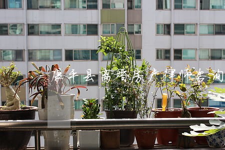 康平县离婚房产律师咨询 康平县离婚房产律师咨询