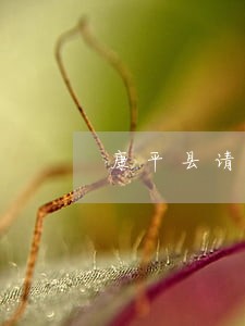 康平县请离婚律师收费 康平县请离婚律师收费