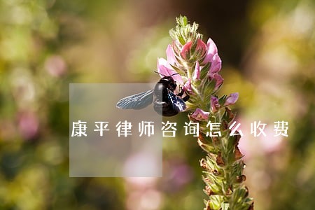 康平律师咨询怎么收费 康平律师咨询怎么收费