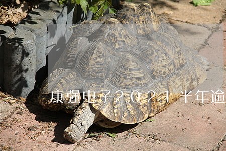 康强电子2021半年逾期 康强电子2021半年逾期
