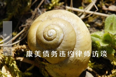 康美债务违约律师访谈 康美债务违约律师访谈