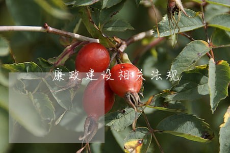 廉政建设相关法规