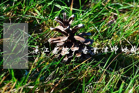 廉江房地产专业律师评价棒