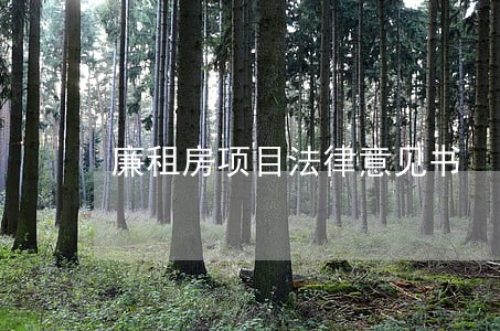 廉租房项目法律意见书