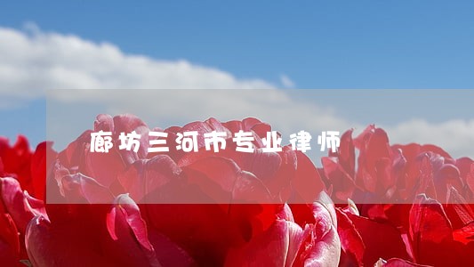 廊坊三河市专业律师 廊坊三河市专业律师