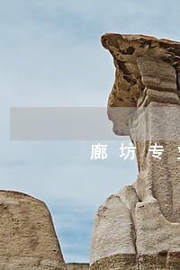 廊坊专业专利侵权律师