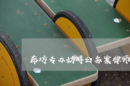 廊坊专办妨碍公务案律师