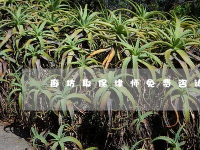 廊坊取保律师免费咨询 廊坊取保律师免费咨询