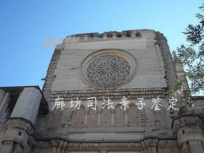 廊坊司法亲子鉴定