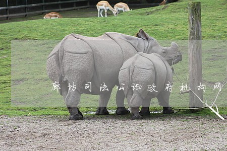 廊坊司法公证政府机构网点 廊坊司法公证政府机构网点