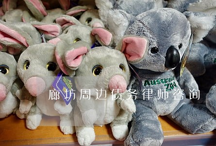廊坊周边债务律师咨询 廊坊周边债务律师咨询