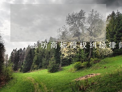 廊坊商标侵权纠纷律师 廊坊商标侵权纠纷律师