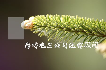 廊坊地区公司法律顾问 廊坊地区公司法律顾问