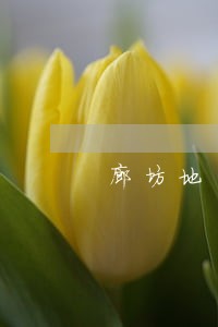 廊坊地区刑事辩护律师咨询 廊坊地区刑事辩护律师咨询
