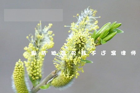 廊坊地区欠钱不还案律师费用