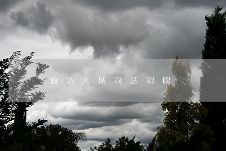 廊坊大城司法招聘 廊坊大城司法招聘
