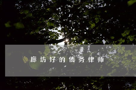 廊坊好的债务律师 廊坊好的债务律师