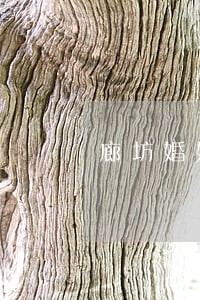 廊坊婚姻家庭律师服务 廊坊婚姻家庭律师服务