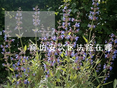 廊坊安次区法院在哪 廊坊安次区法院在哪
