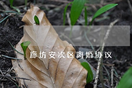 廊坊安次区离婚协议 廊坊安次区离婚协议