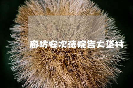 廊坊安次法院告大垡村