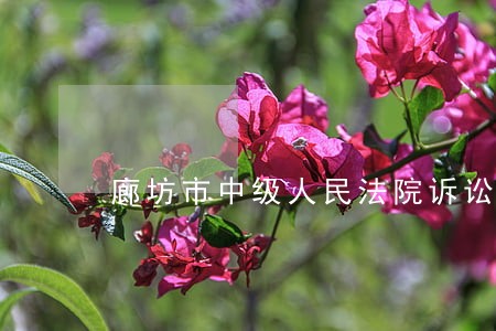 廊坊市中级人民法院诉讼电话 廊坊市中级人民法院诉讼电话