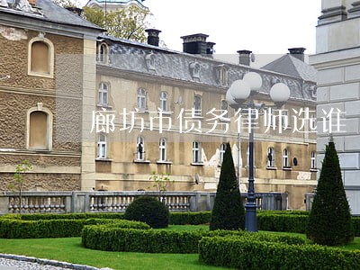 廊坊市债务律师选谁
