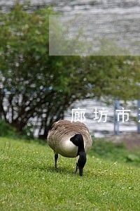 廊坊市刑事诉讼律师排名 廊坊市刑事诉讼律师排名