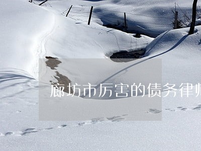 廊坊市厉害的债务律师 廊坊市厉害的债务律师